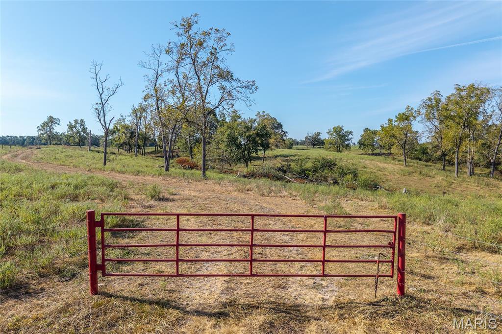 Tbd Equestrian Road Lebanon, MO 65536 - Photo 6 of 57 Gallery Image 6