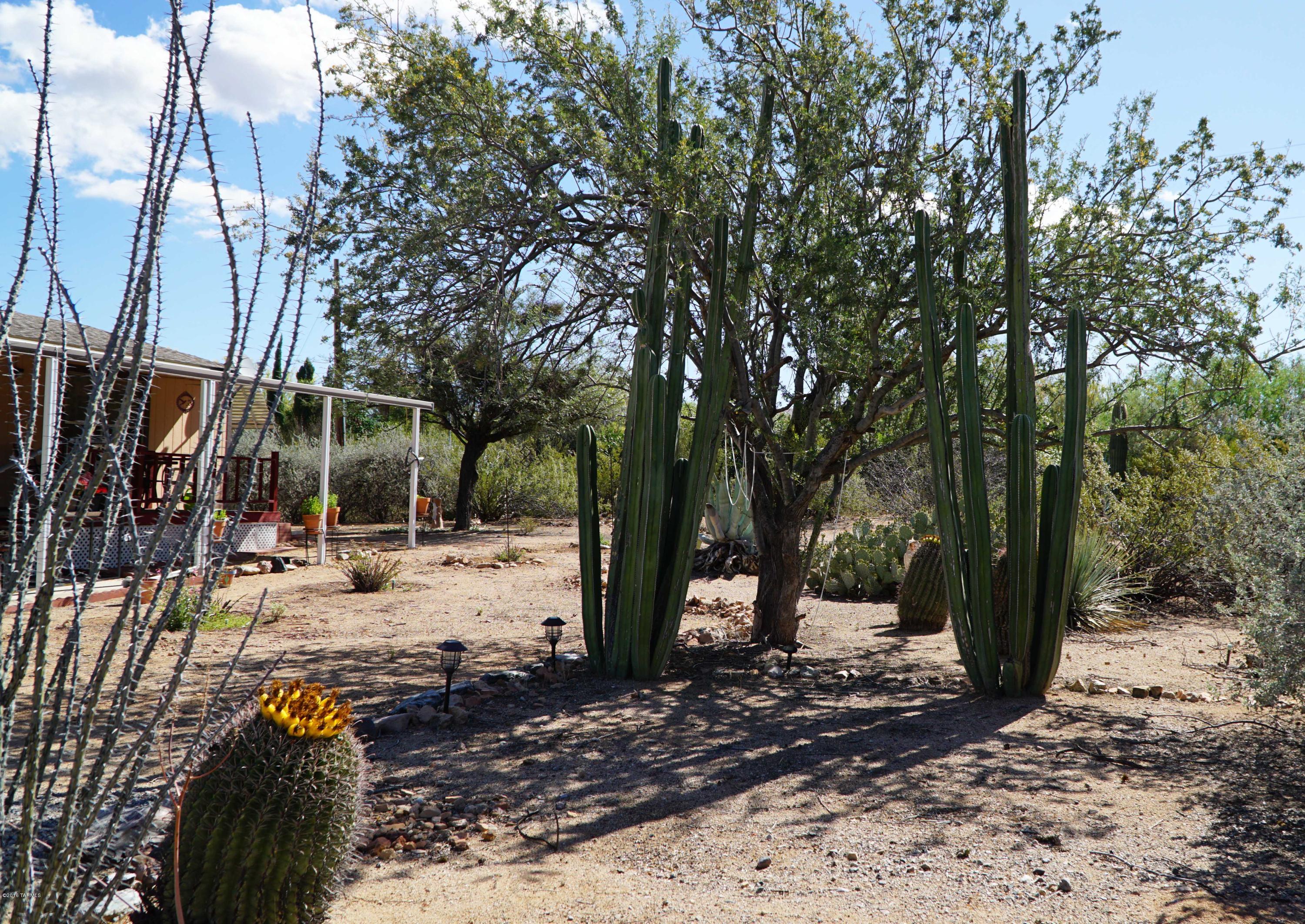 10240 West Rudasill Road Tucson, AZ 85743 - Photo 19 of 20 Gallery Image 19