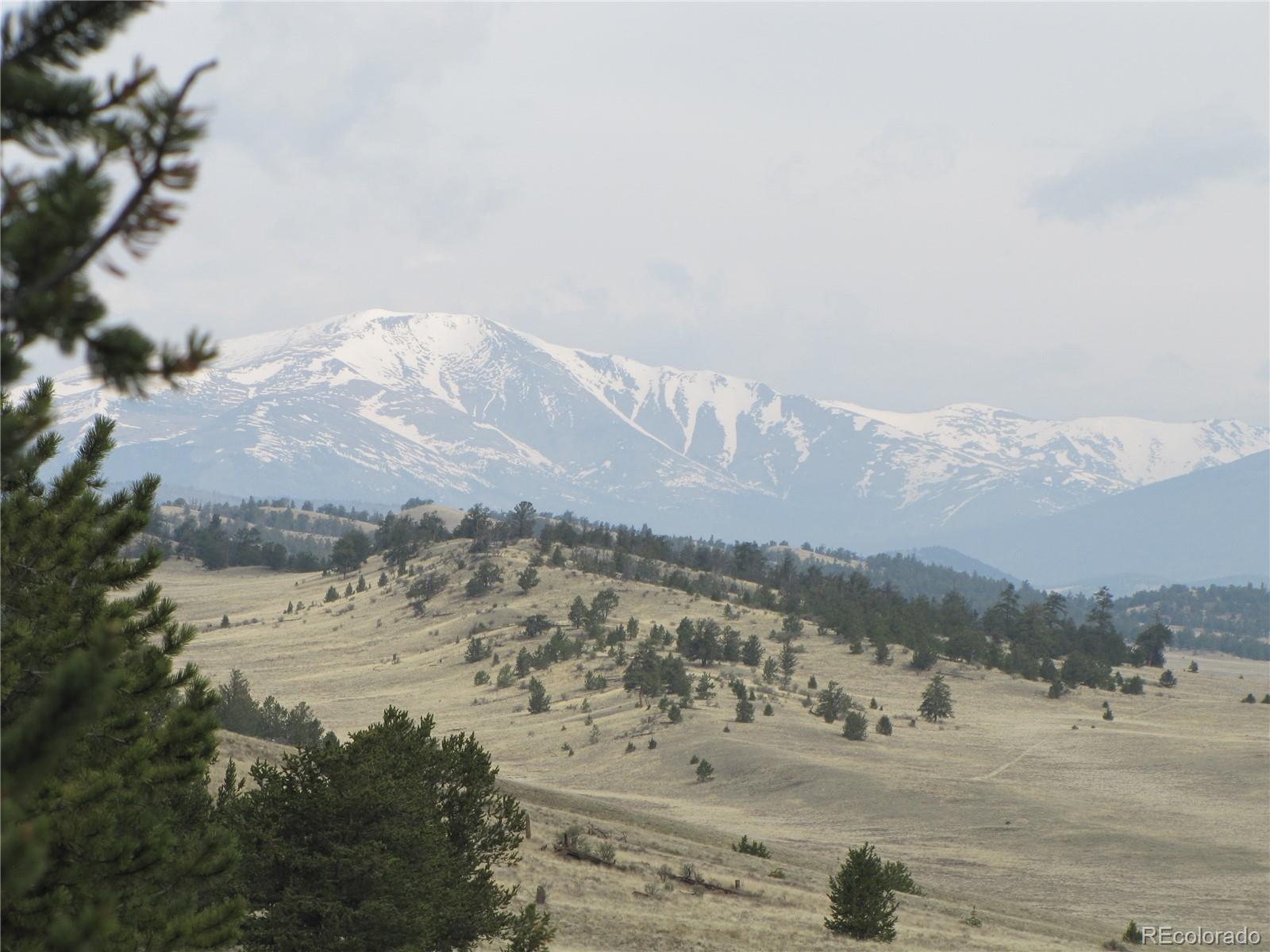 3506 Fitzsimmons Road Hartsel, CO 80449 - Photo 3 of 8 Gallery Image 3