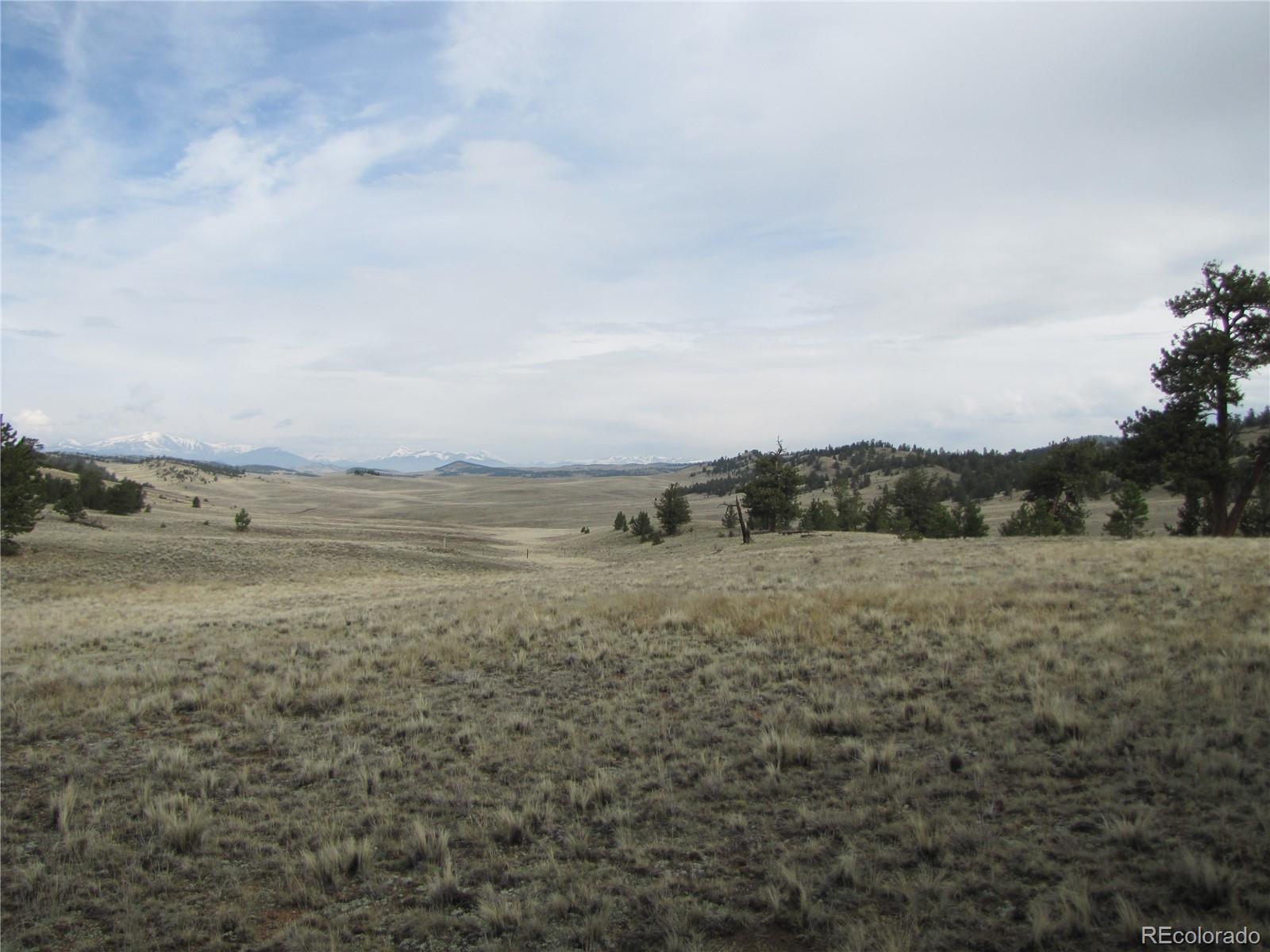 3506 Fitzsimmons Road Hartsel, CO 80449 - Photo 4 of 8 Gallery Image 4