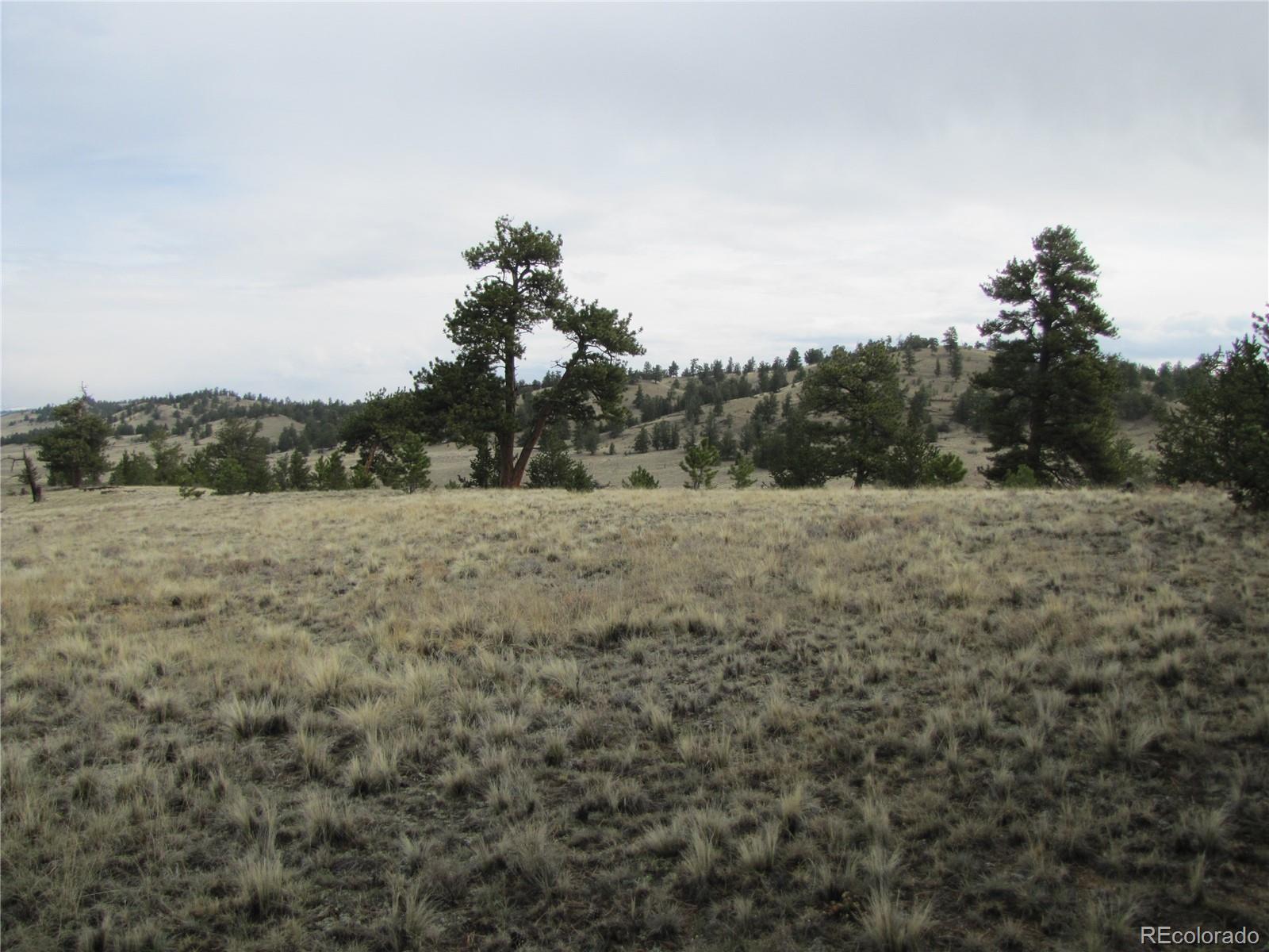 3506 Fitzsimmons Road Hartsel, CO 80449 - Photo 5 of 8 Gallery Image 5