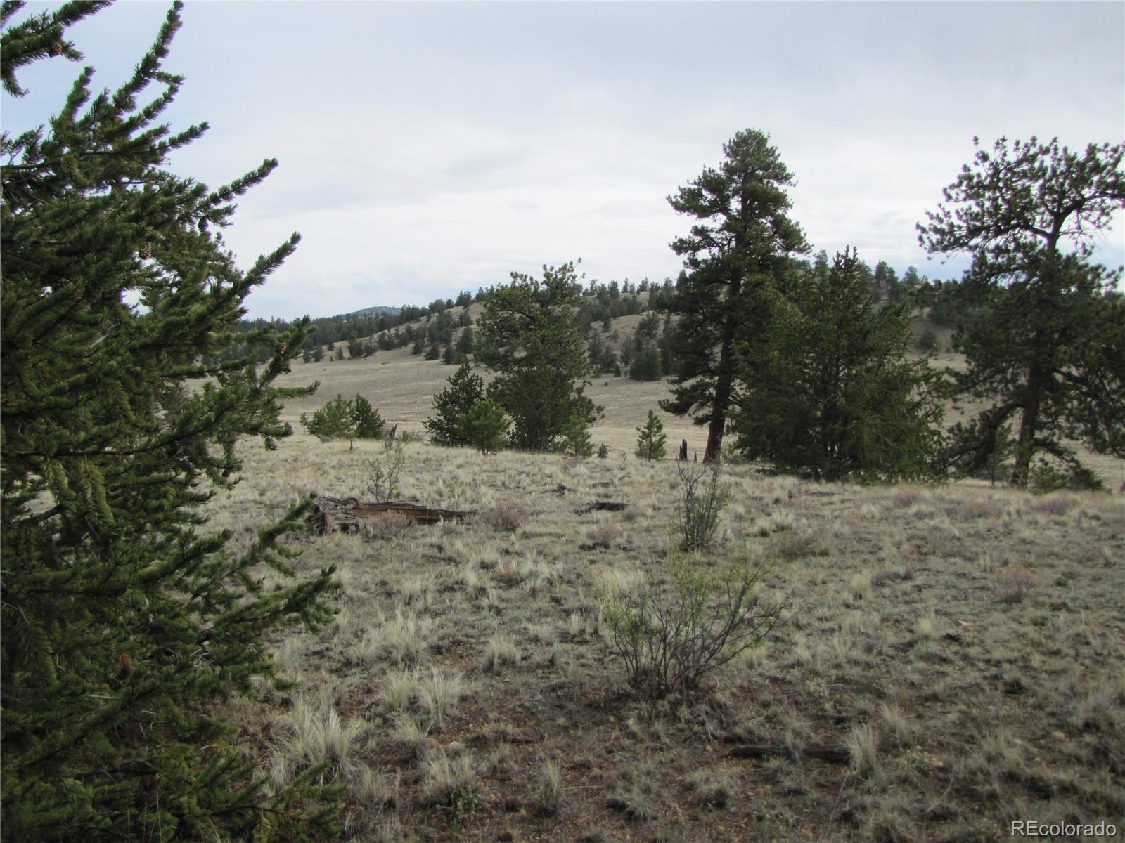 3506 Fitzsimmons Road Hartsel, CO 80449 - Photo 6 of 8 Gallery Image 6