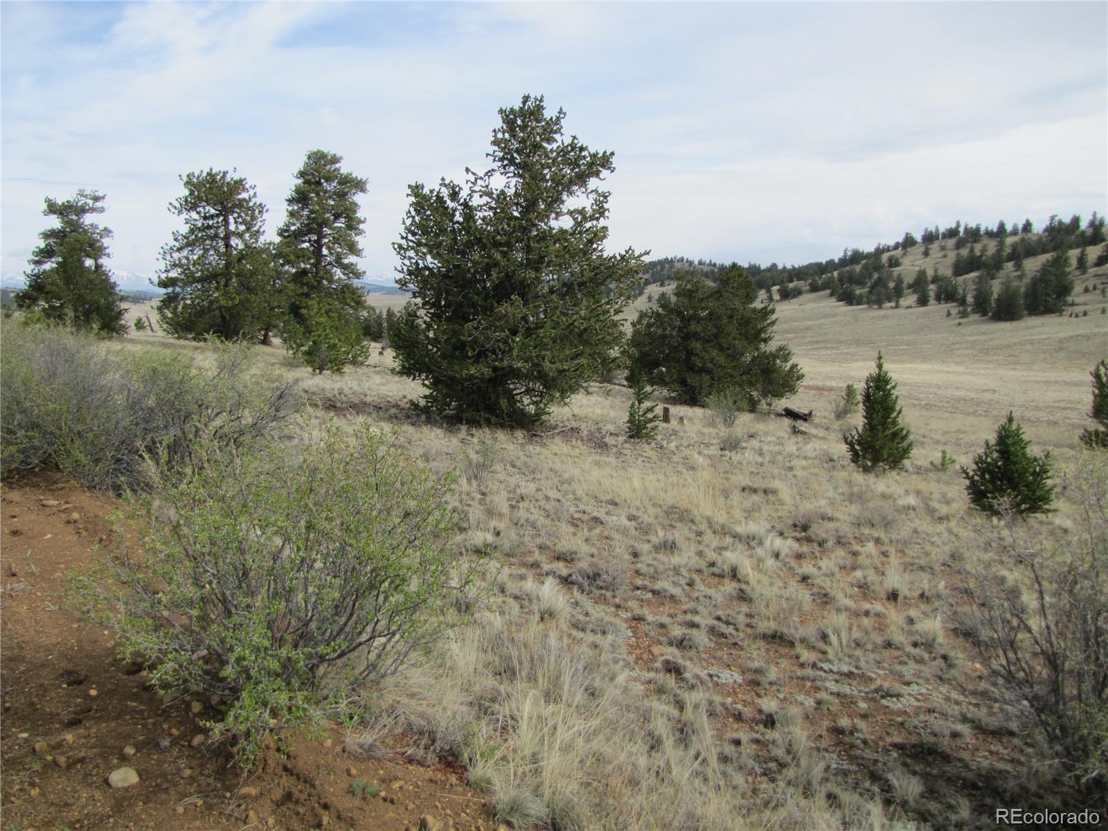 3506 Fitzsimmons Road Hartsel, CO 80449 - Photo 7 of 8 Gallery Image 7