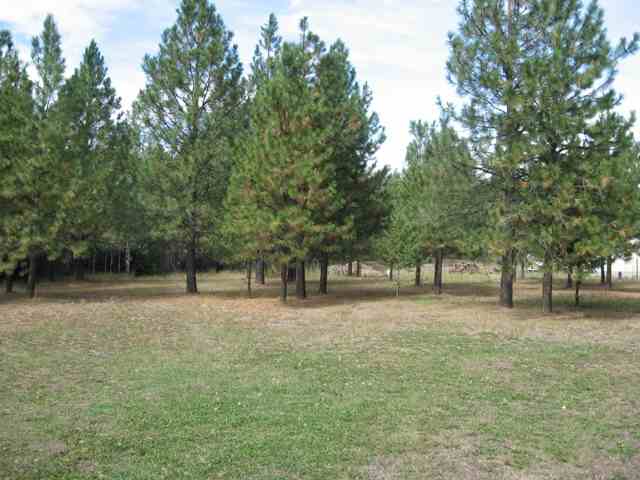 377 Dominion View Road Colville, WA 99114 - Photo 8 of 9