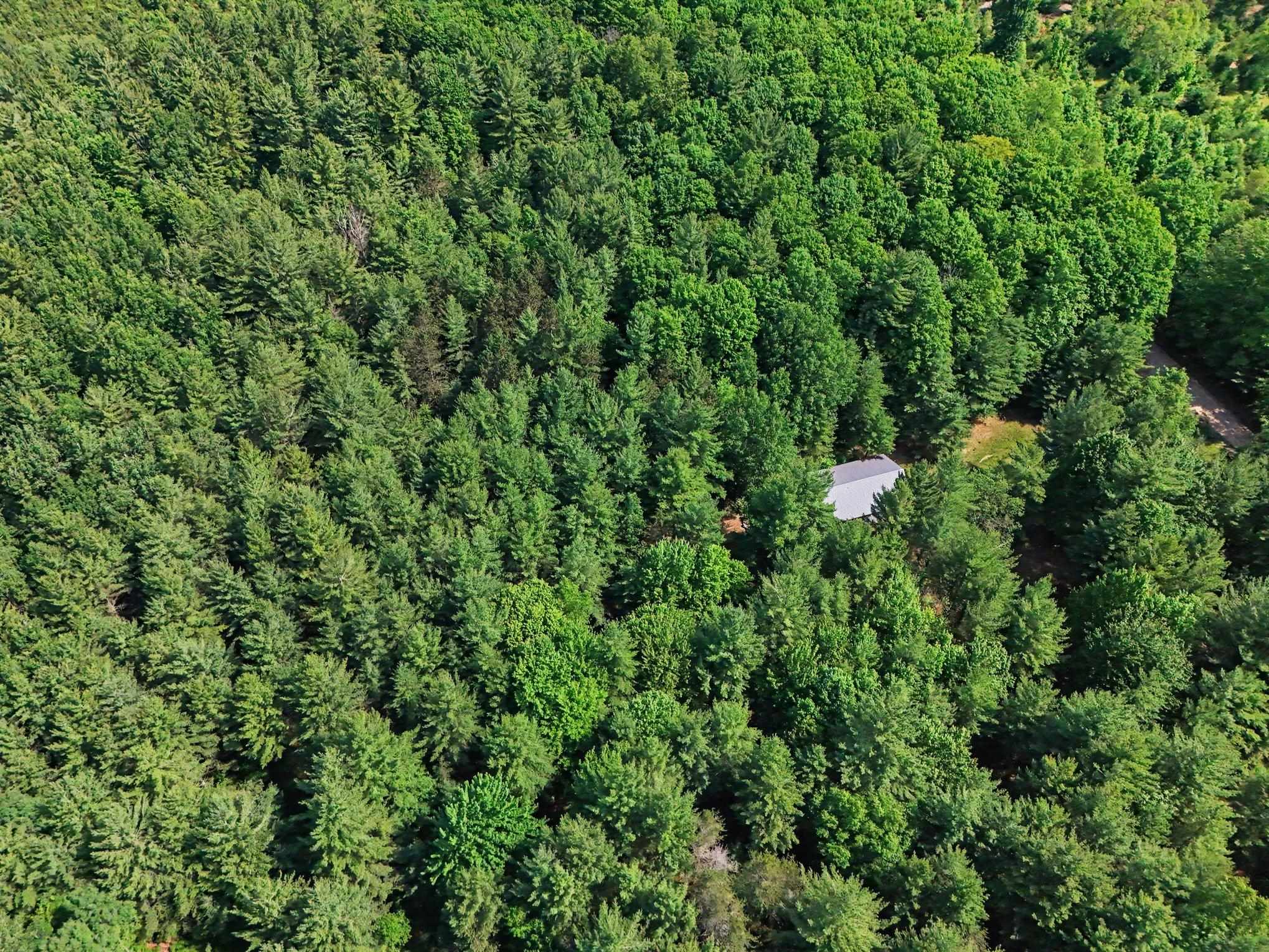 4284 Grand Kal Road Fife Lake, MI 49633 - Photo 23 of 23 1947573-71772b3d-fd30-44c9-af08-521ae8ce4dee.JPG
