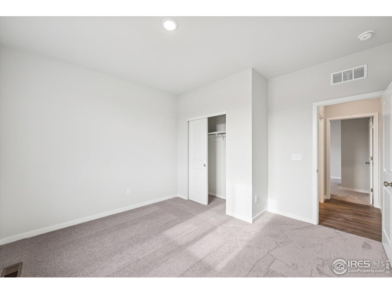 858 Mesic Lane Windsor, CO 80550 - Photo 3 of 27