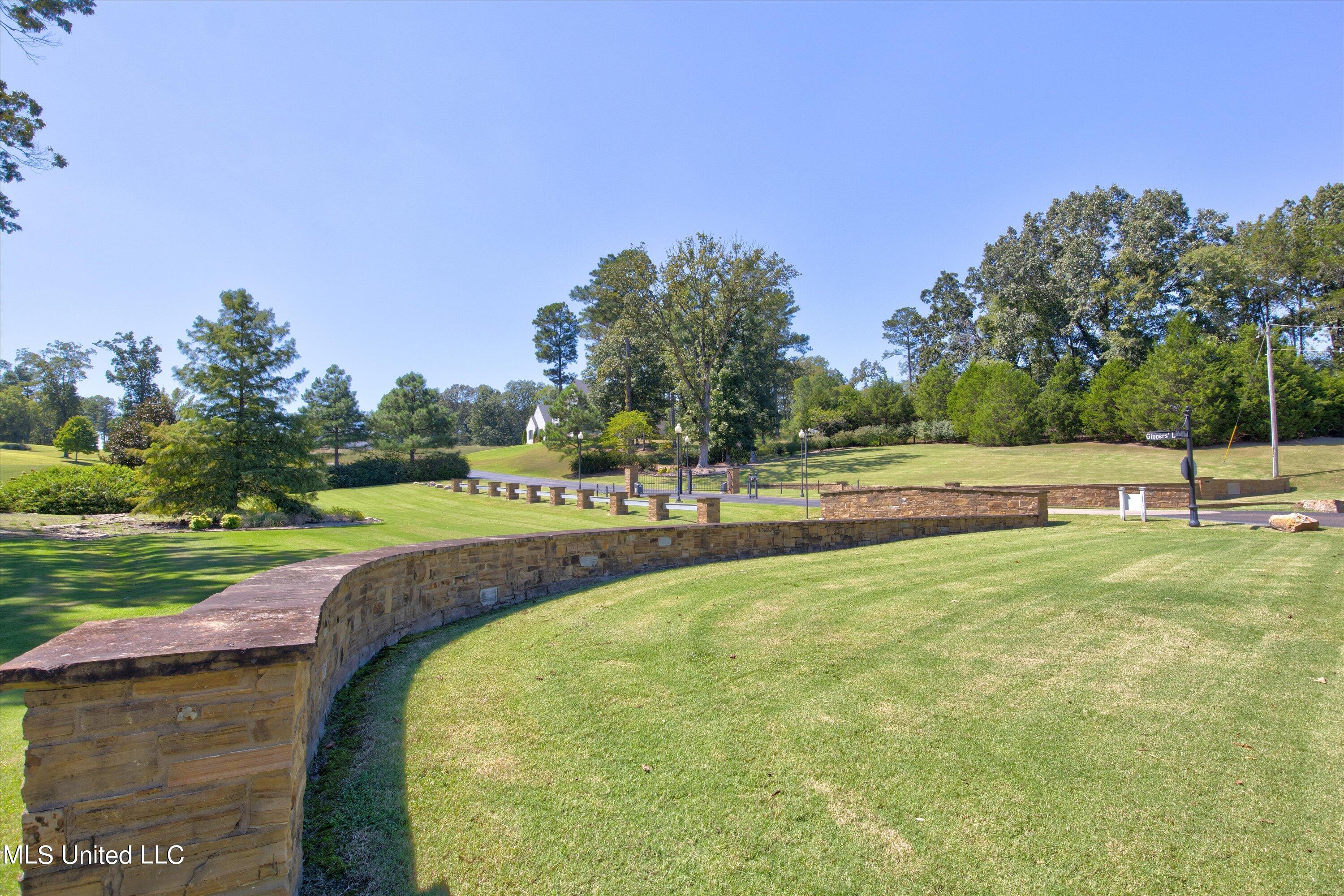 2644 Plank Road Hernando, MS 38632 - Photo 11 of 18 Stacked Stone Entry