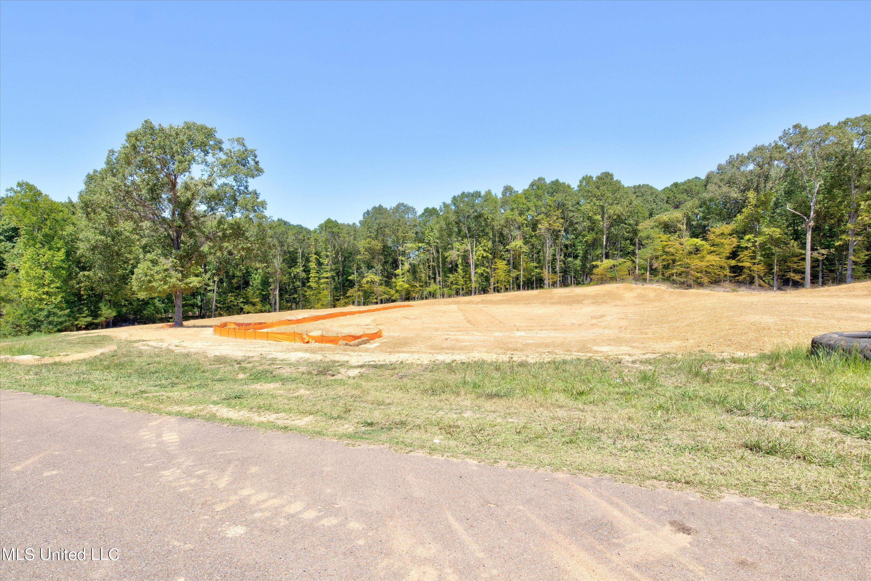 2644 Plank Road Hernando, MS 38632 - Photo 3 of 18 View from Street