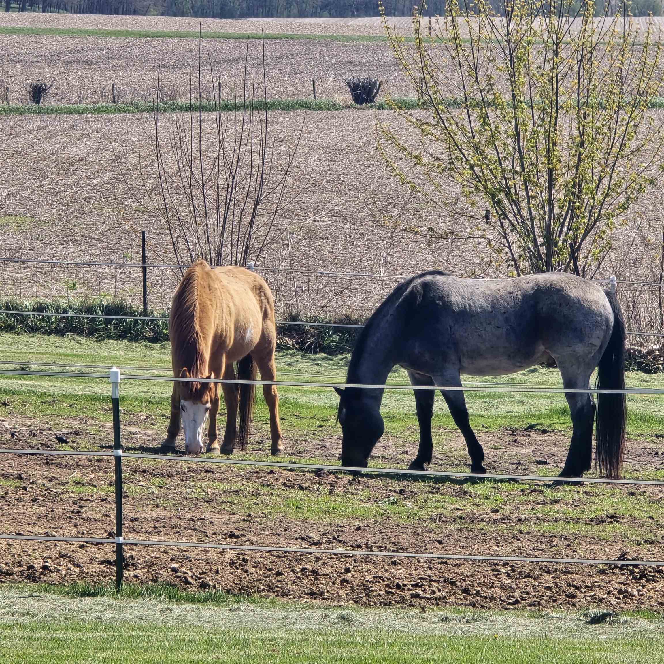 17870 Clover Road Morrison, IL 61270 - Photo 25 of 37