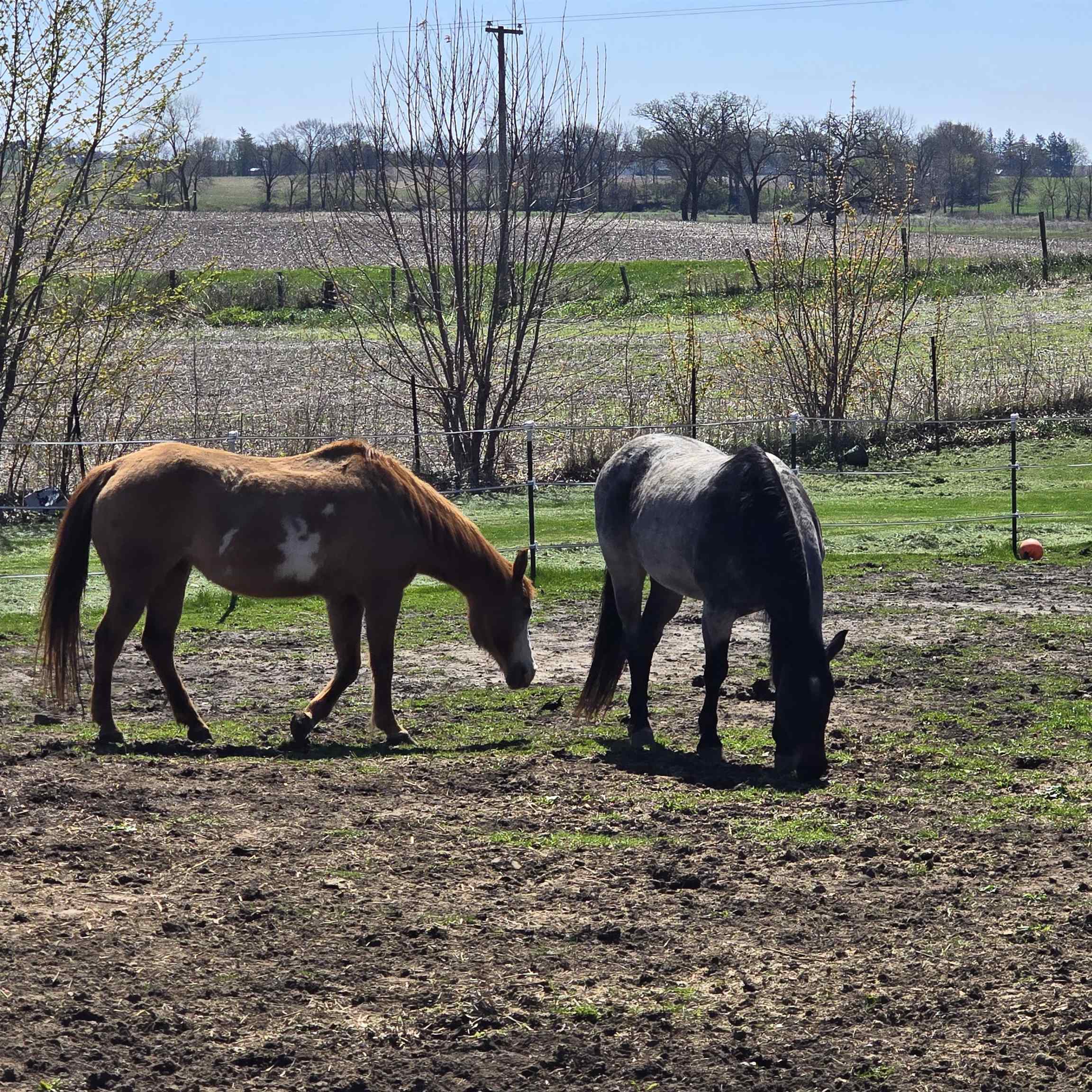 17870 Clover Road Morrison, IL 61270 - Photo 37 of 37
