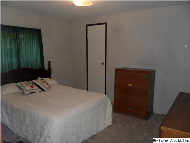 4185 Warrior Jasper Road Dora, AL 35062 - Photo 21 of 32