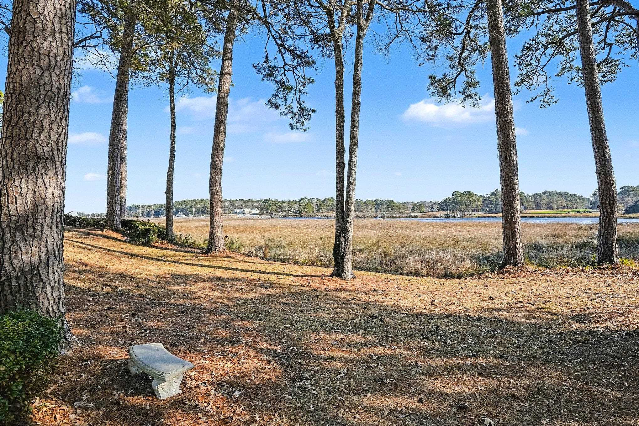 4429 Turtle Lane, Unit 3A Little River, SC 29566 - Photo 29 of 31 View of yard