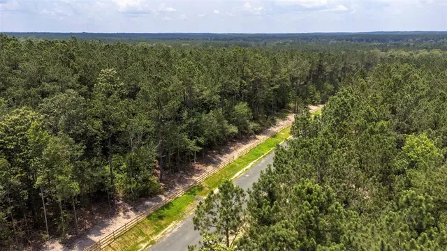 $110,000 | 7 A Timberland Branch Drive, Hillister, TX 77624