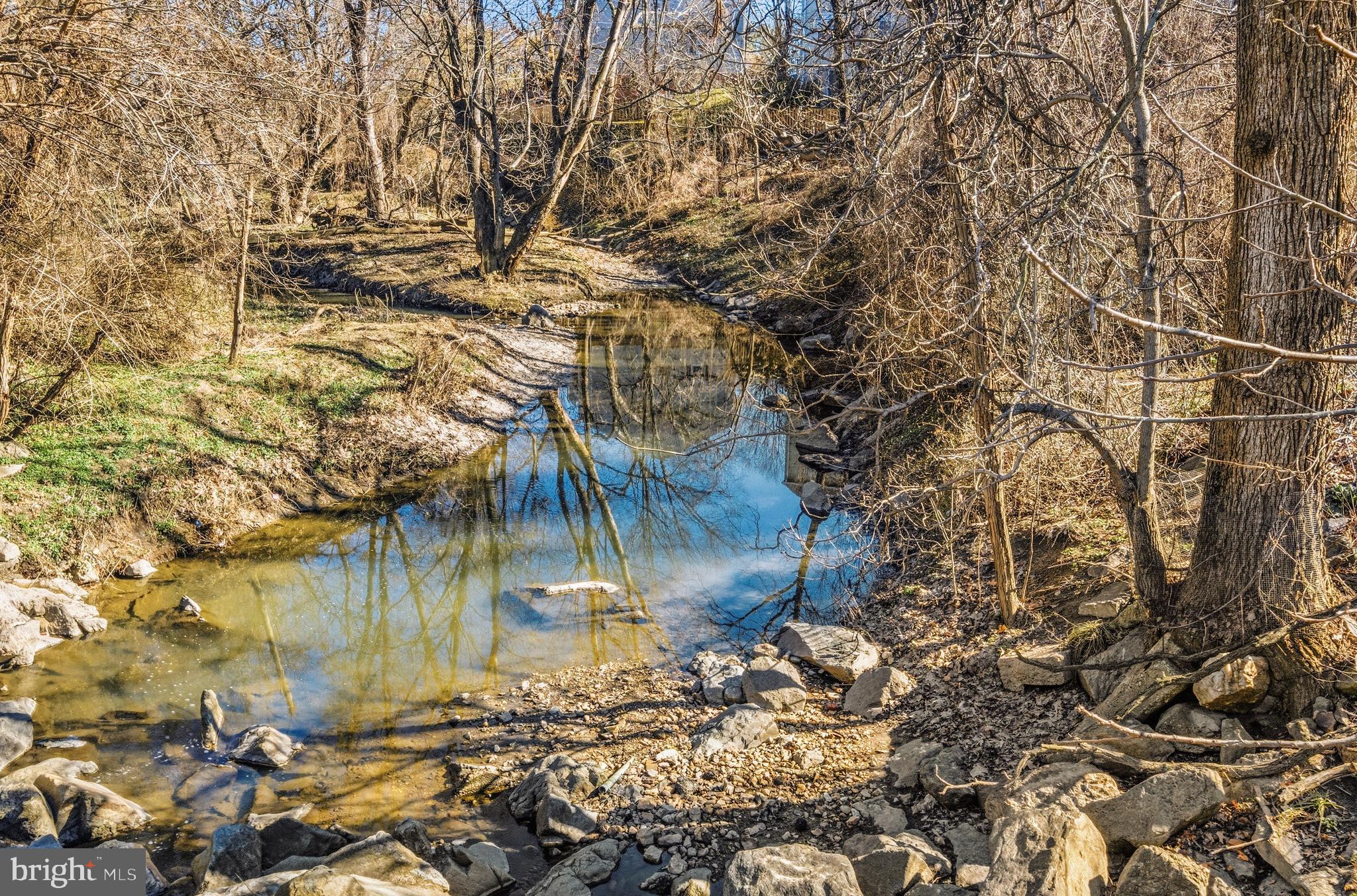 2002 Medical Park Drive Silver Spring, MD 20902 - Photo 36 of 43 Back of house overlooks a creek