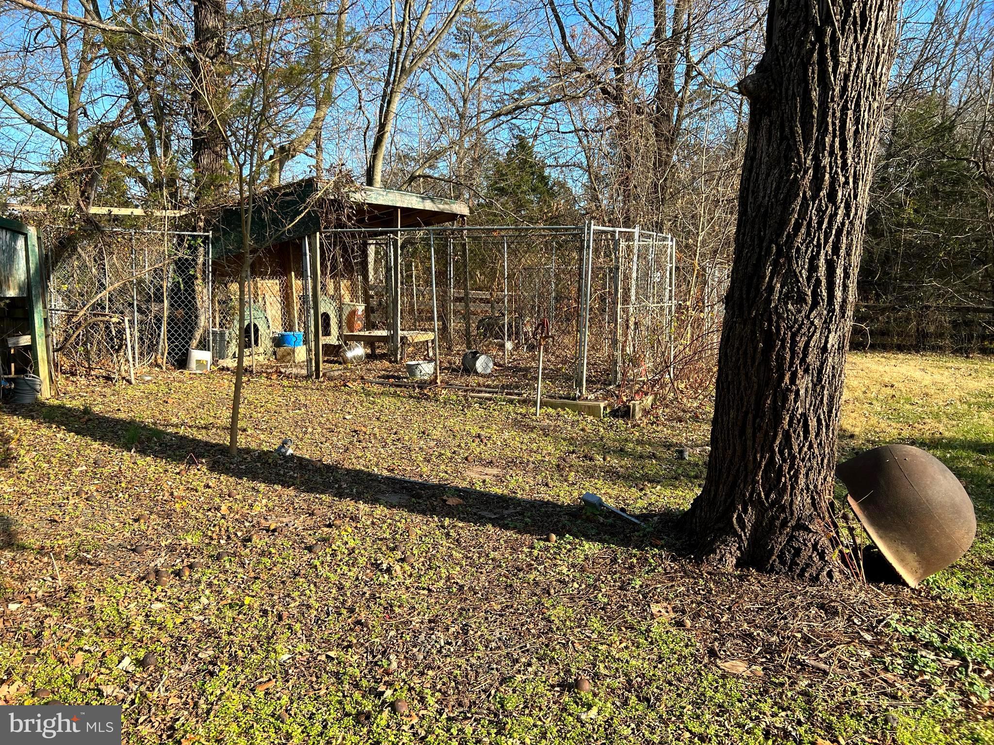 8307 Kines Road Warrenton, VA 20187 - Photo 44 of 46 Kennel.