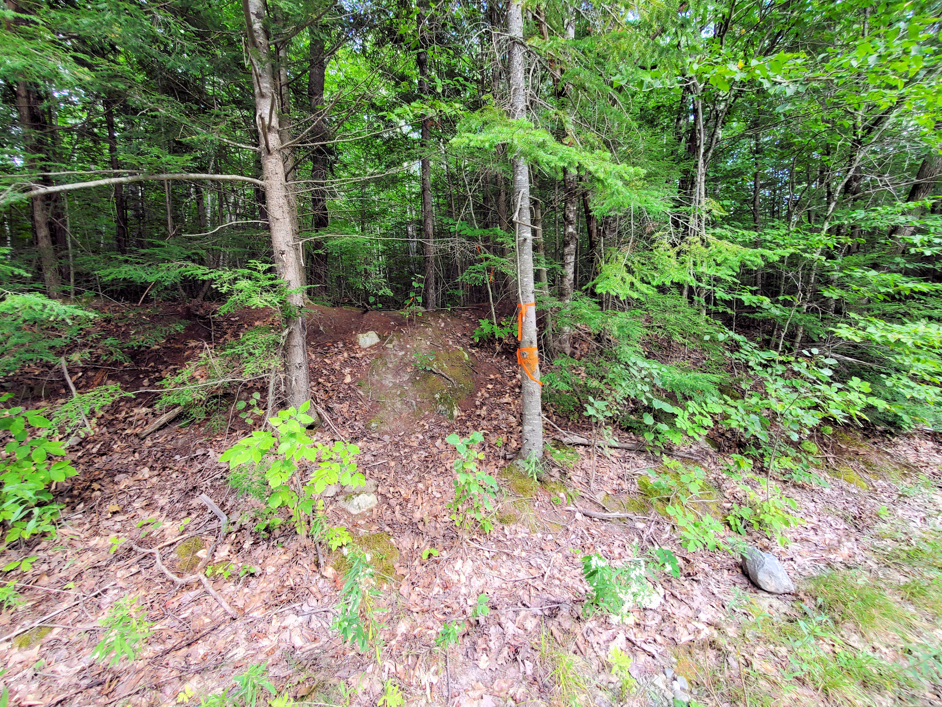 57 Vigue Road Hartland, ME 04943 - Photo 6 of 38 20210831_151636