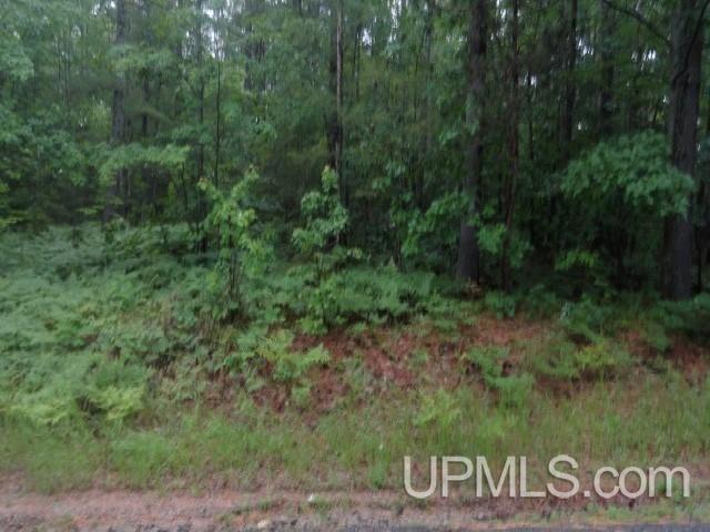 Tbd Powell Lake Road, Unit PARCEL B Wetmore, MI 49895 - Photo 1 of 2 Gallery Image 1