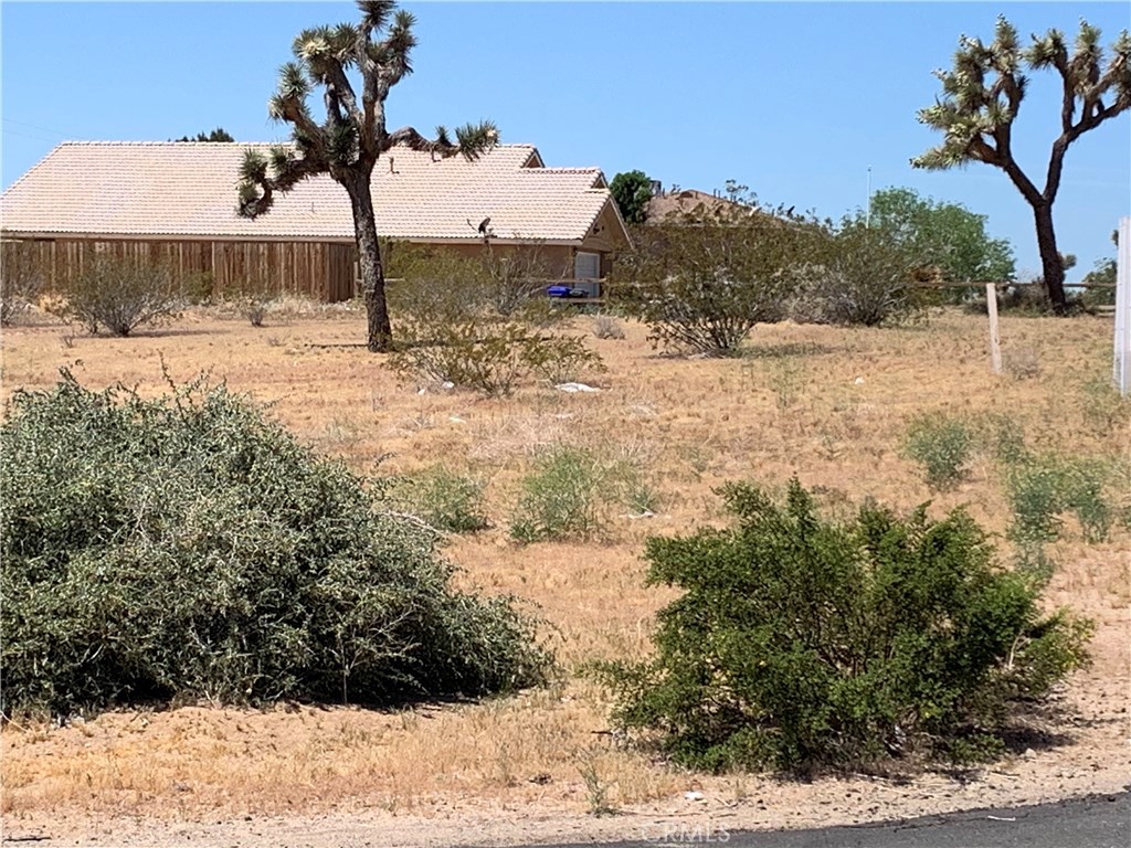 0 Allegheny Road Apple Valley, CA 92307 - Photo 1 of 1 a view of a yard covered in snow