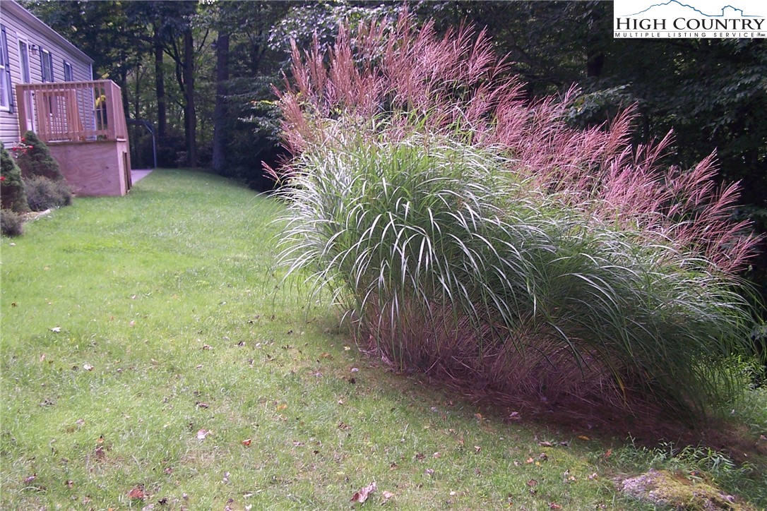 543 Laurel Fork Road Vilas, NC 28692 - Photo 8 of 24 Gallery Image 8