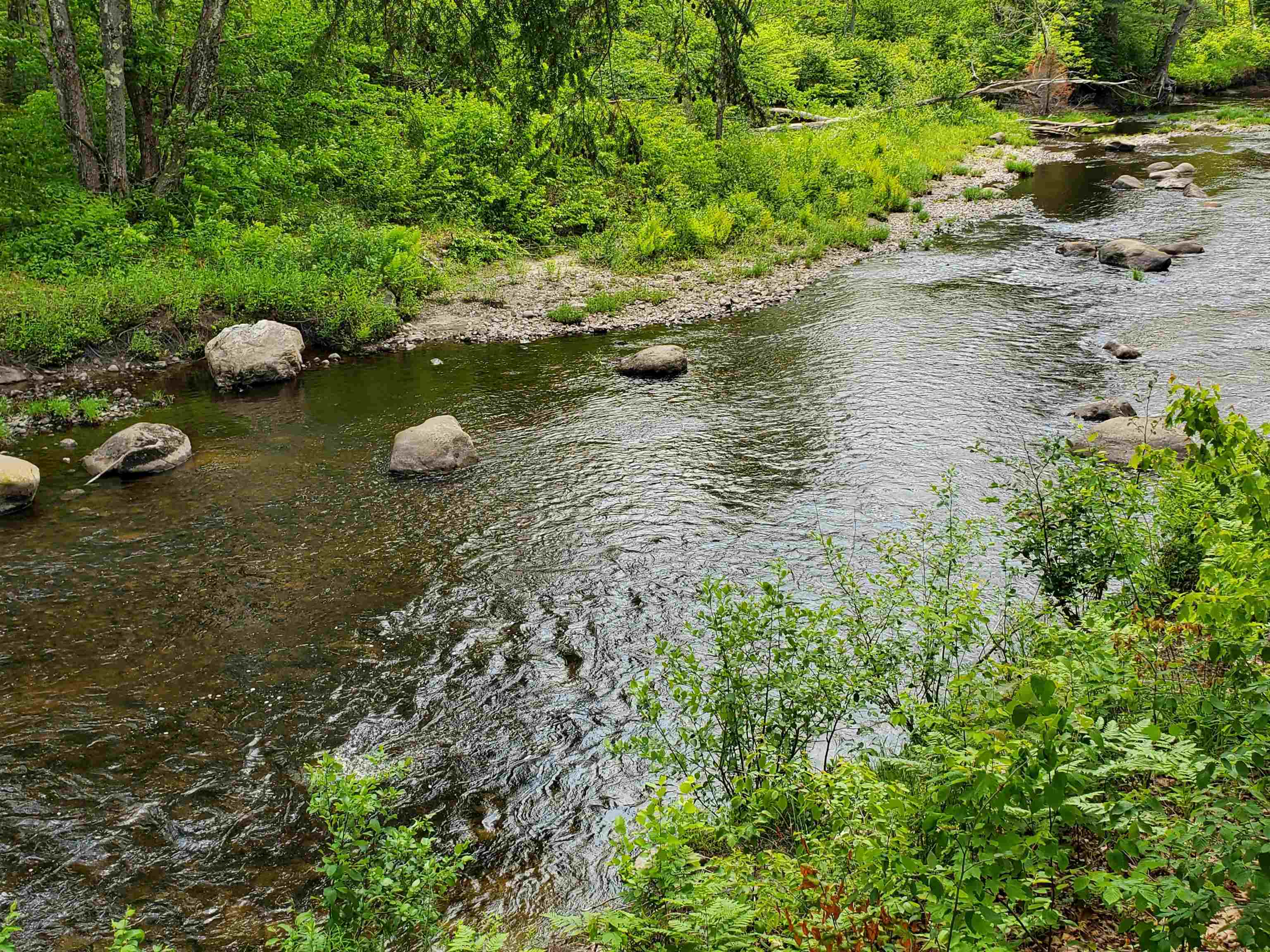 0 Perry Road Canaan, NH 03741 - Photo 22 of 28