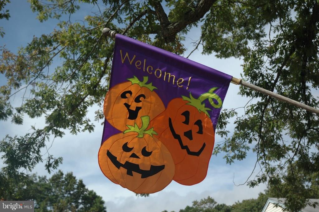 224 Sextant Road Manahawkin, NJ 08050 - Photo 7 of 35