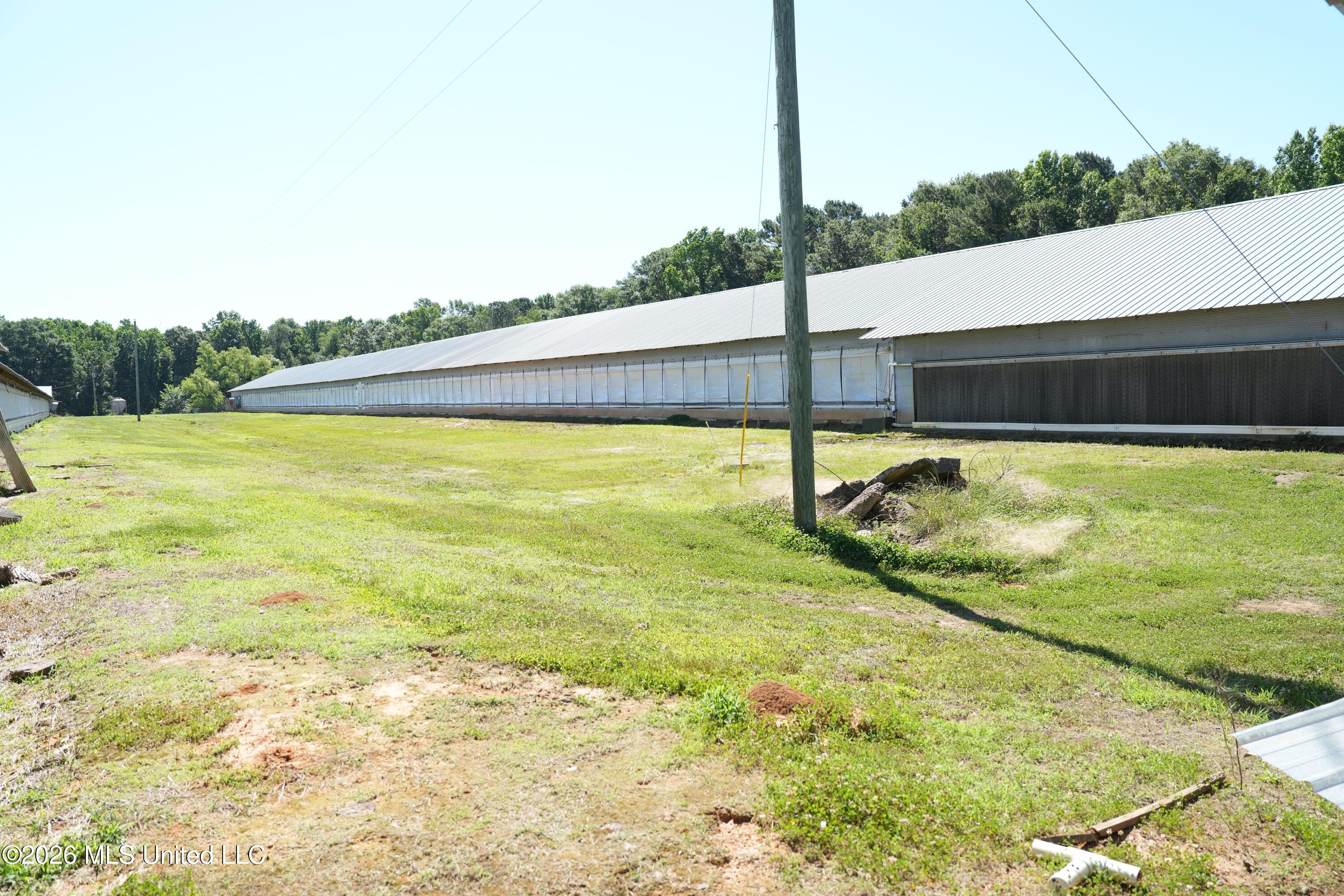 10671 Ms-427 Carthage, MS 39051 - Photo 23 of 44 DSC03101