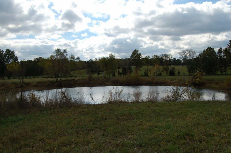 8123 Stonefort Road Creal Springs, IL 62922 - Photo 20 of 25 Gallery Image 20