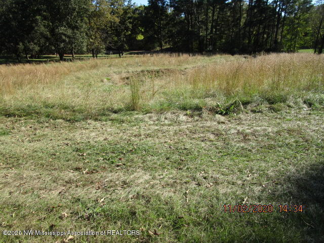 1459 Sycamore Road Coldwater, MS 38618 - Photo 4 of 8 IMG_1551