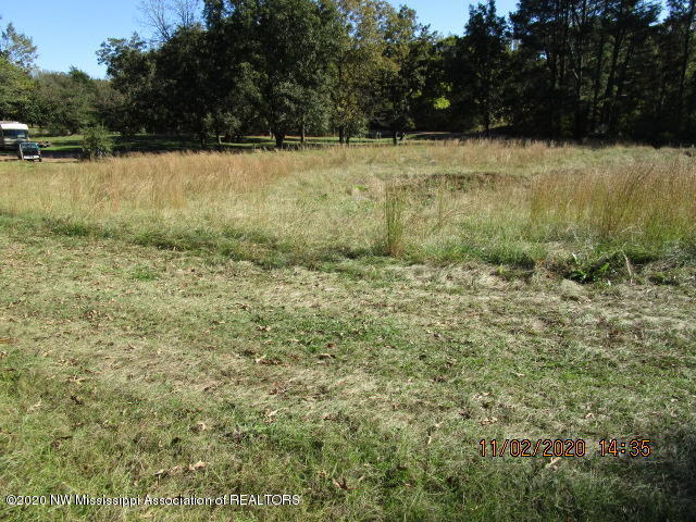 1459 Sycamore Road Coldwater, MS 38618 - Photo 5 of 8 IMG_1552