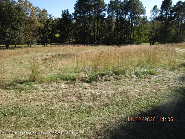 1459 Sycamore Road Coldwater, MS 38618 - Photo 6 of 8 IMG_1553