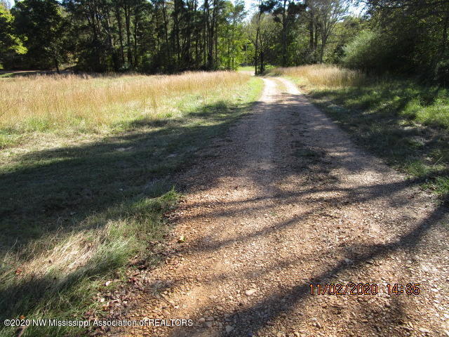 1459 Sycamore Road Coldwater, MS 38618 - Photo 7 of 8 IMG_1554