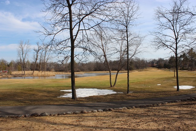 26 Hidden Brook Drive North Barrington, IL 60010 - Photo 22 of 22 a view of a yard with trees
