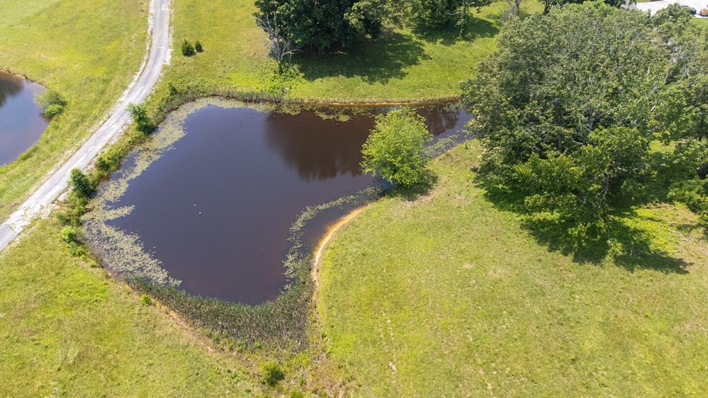 0 McCorkle Road Baneberry, TN 37890 - Photo 15 of 18