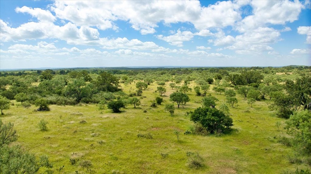 567 Walters Road Mason, TX 76856 - Photo 13 of 26 a view of a bunch of trees and bushes