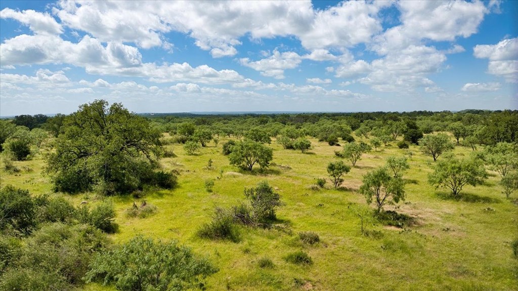 567 Walters Road Mason, TX 76856 - Photo 14 of 26 a view of a garden