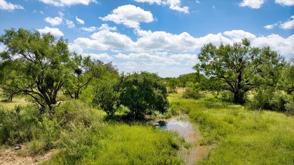 567 Walters Road Mason, TX 76856 - Photo 16 of 26 a view of a green yard