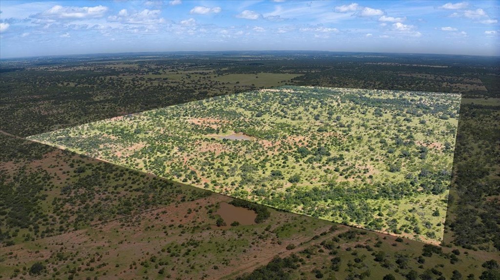 567 Walters Road Mason, TX 76856 - Photo 2 of 26 a view of a yard