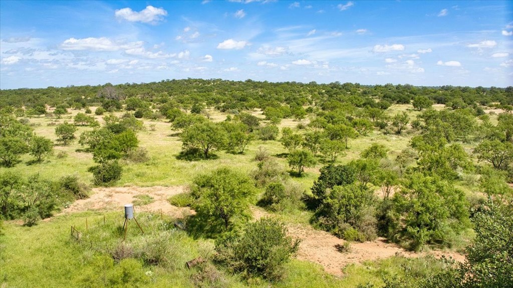 567 Walters Road Mason, TX 76856 - Photo 6 of 26 a view of an outdoor space and mountain view