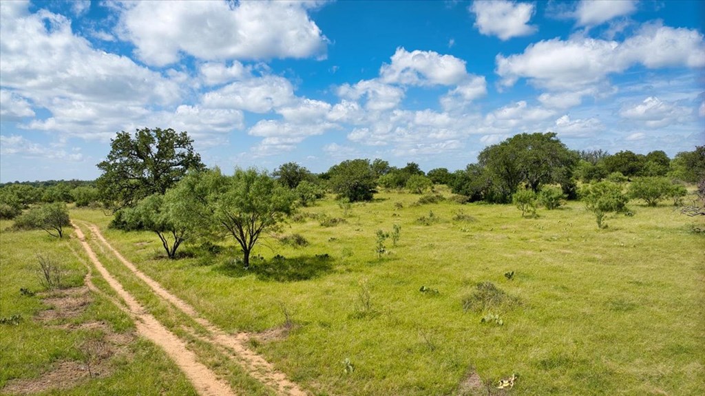 567 Walters Road Mason, TX 76856 - Photo 7 of 26 a view of a yard with an trees