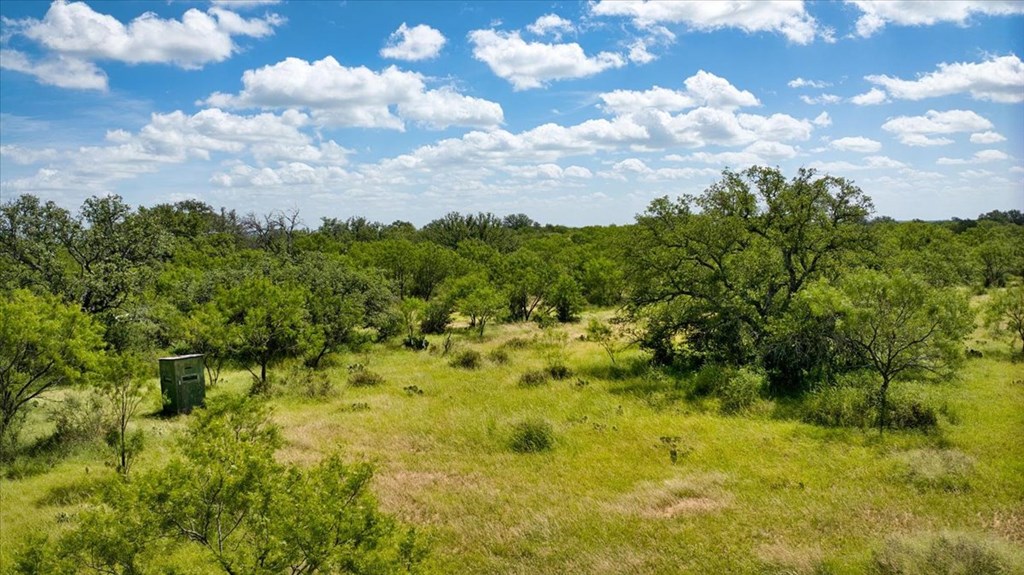 567 Walters Road Mason, TX 76856 - Photo 8 of 26 a view of a bunch of trees and bushes