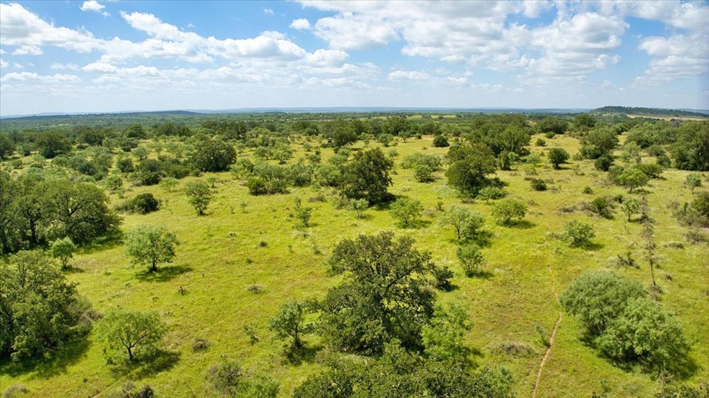 567 Walters Road Mason, TX 76856 - Photo 10 of 26 a view of yard with large trees