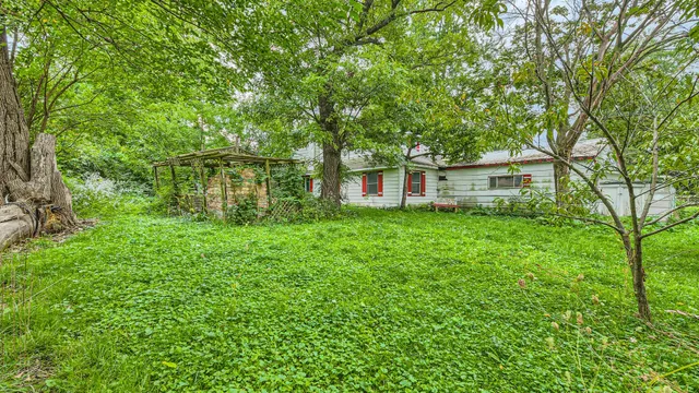 a view of a yard with a tree