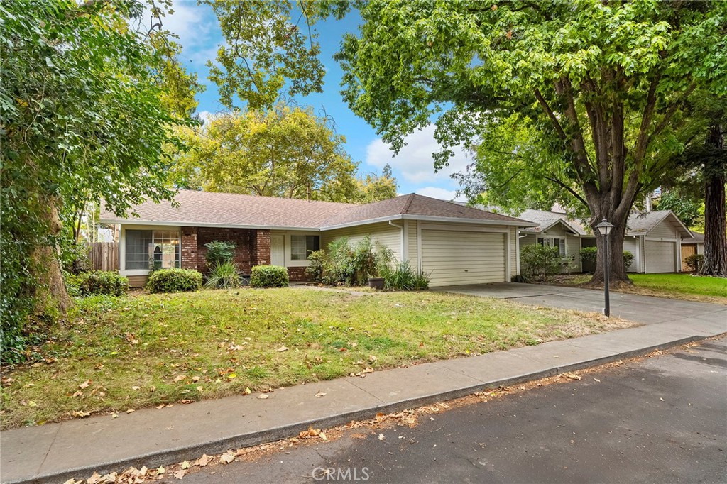 a front view of a house with yard and tree