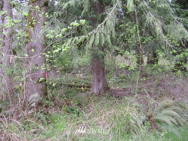 577 Boone Road Ethel, WA 98542 - Photo 2 of 8
