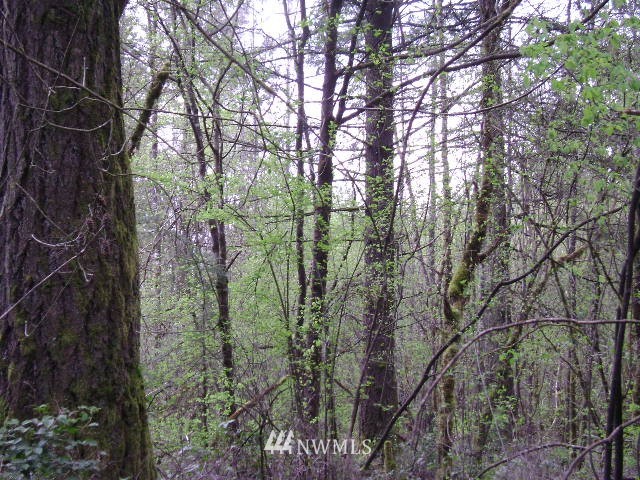 577 Boone Road Ethel, WA 98542 - Photo 8 of 8