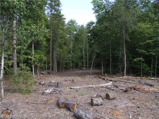 Other. Looking North at home site