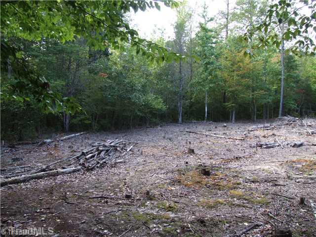 4 Palomino Road Advance, NC 27006 - Photo 8 of 16 Other. Looking west at home site