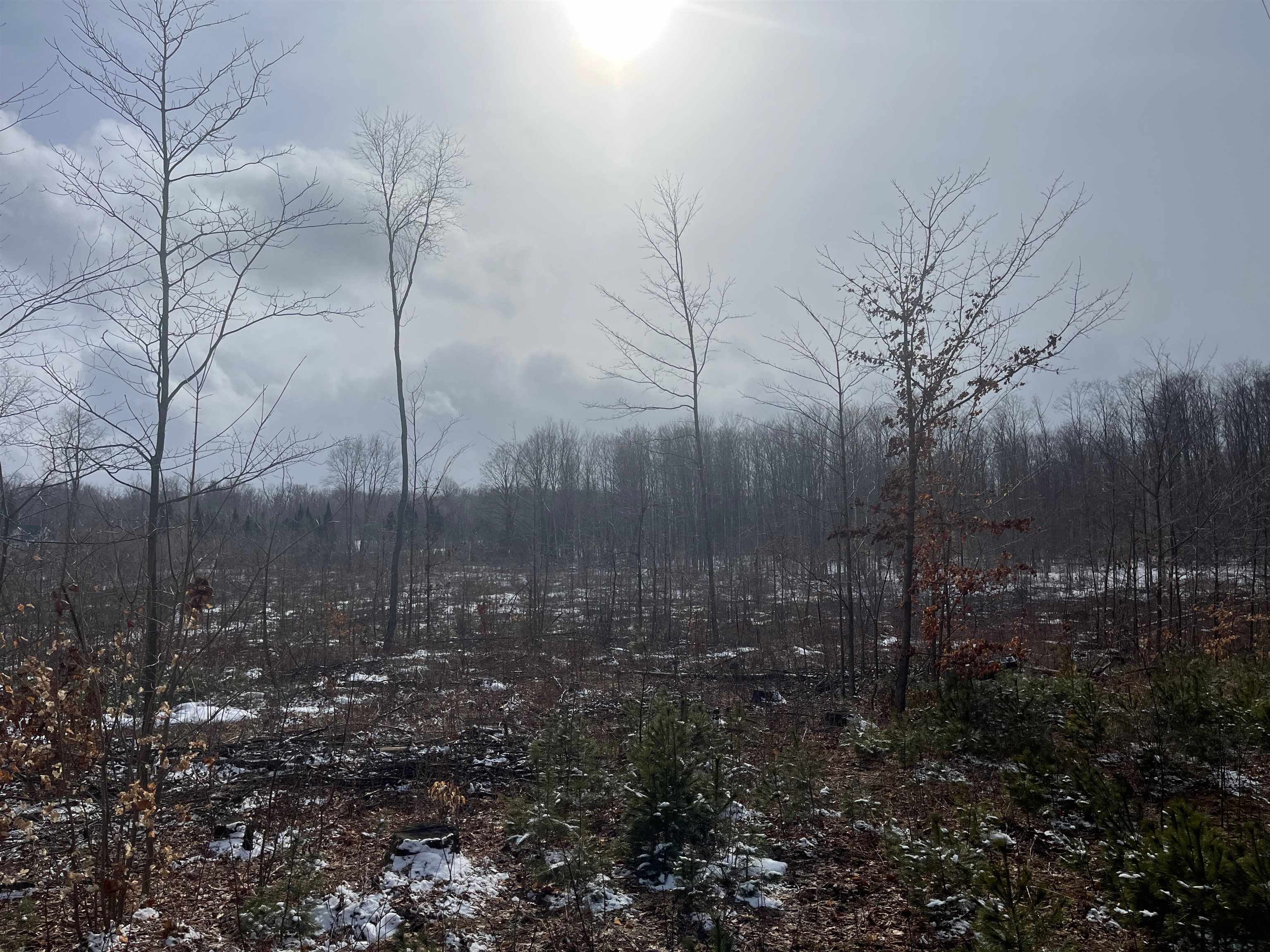 4 King Road, Unit LOT: 4 Benzonia, MI 49616 - Photo 8 of 12