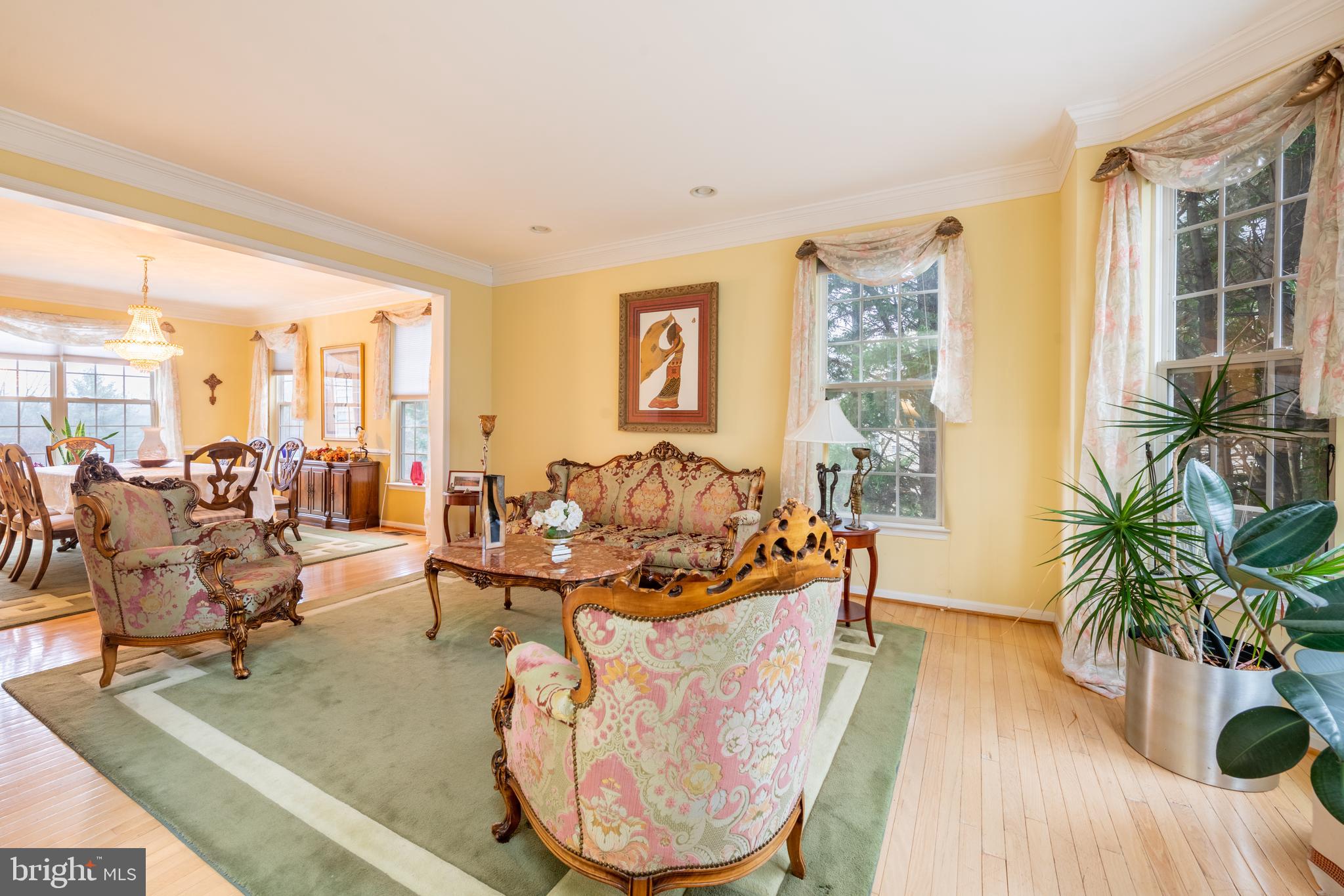 11 Manor Spring Court Silver Spring, MD 20906 - Photo 2 of 45 a living room with furniture potted plant and a large window