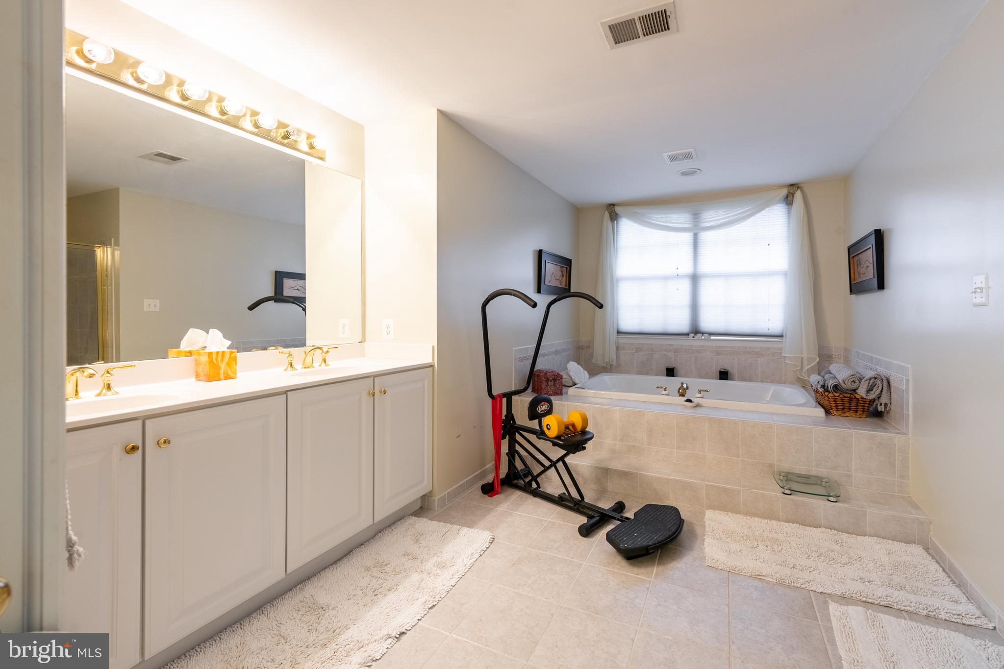 11 Manor Spring Court Silver Spring, MD 20906 - Photo 32 of 45 a bathroom with a sink and a mirror
